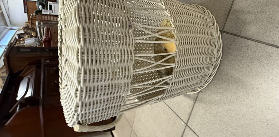 923 prádelní koš-umělý ratan průměr 48cm,výška 48cm za 450kč