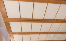 IMG_1652