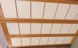 IMG_1654