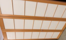 IMG_1659